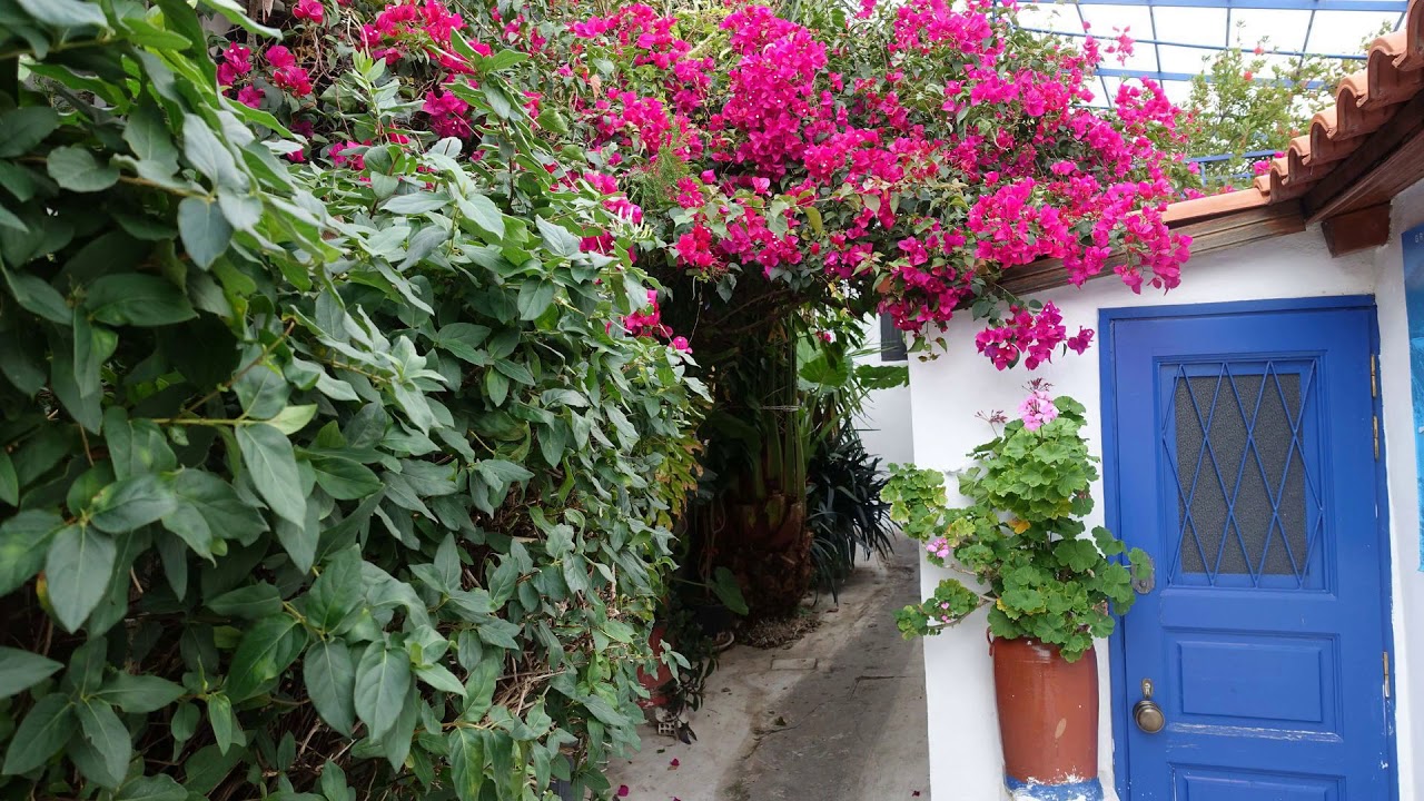 Anafiotika - Athens (Greece)