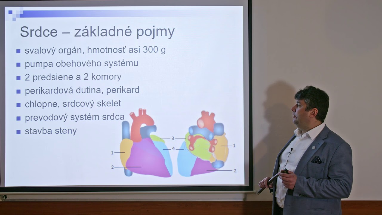 Špeciálna histológia: Mikroskopická stavba srdca a ciev