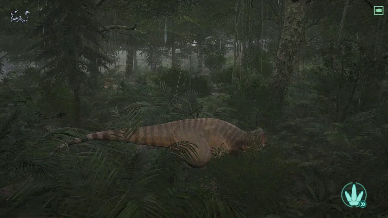 Dowe's hunting trip