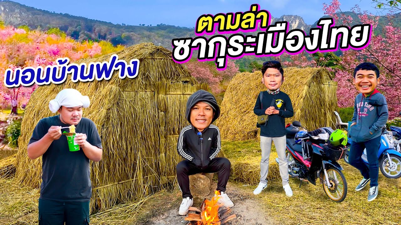 24 ชั่วโมง นอนบ้านฟาง ตามล่าดอกซากุระเมืองไทย !! EP. 1 | CLASSIC NU