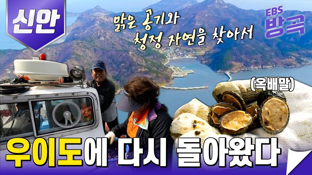 [전남 신안] 도시에서 잃은 건강을 다시 되찾게 해준 고마운 섬 '우이도'|사람 손길 닿지 않은 청정 자연을 간직한 섬🏖 |근처 무인도에서 캔 옥배말과 약초|한국기행|#방방곡곡