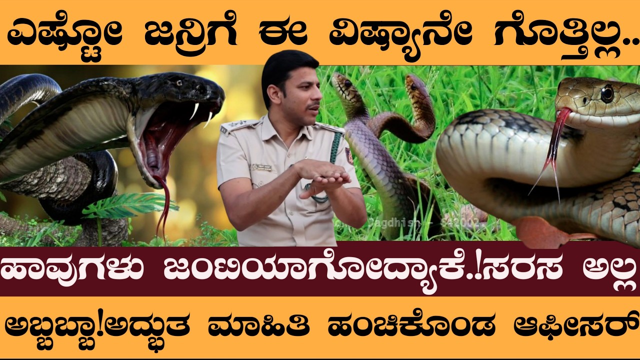 Part 2 Snakes - ಹಾವುಗಳು ಜಂಟಿಯಾಗೋದ್ಯಾಕೆ.!ಸರಸ ಅಲ್ಲಎಷ್ಟೋ ಜನ್ರಿಗೆ ಈ ವಿಷ್ಯಾನೇ ಗೊತ್ತಿಲ್ಲ..! #snakes