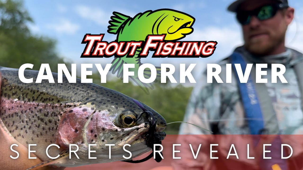 How to trout fish the CANEY FORK RIVER