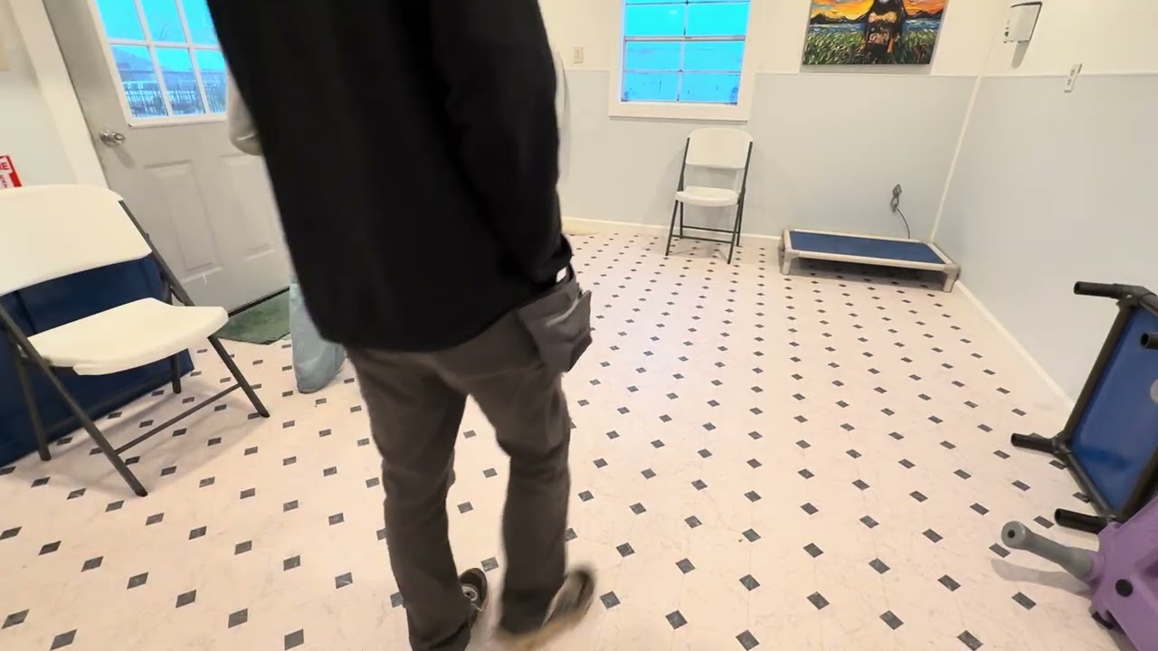 Beau down stay w/ door distraction 