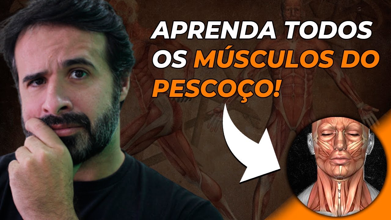 APRENDA TODOS OS MÚSCULOS DO PESCOÇO DE UMA VEZ POR TODAS!