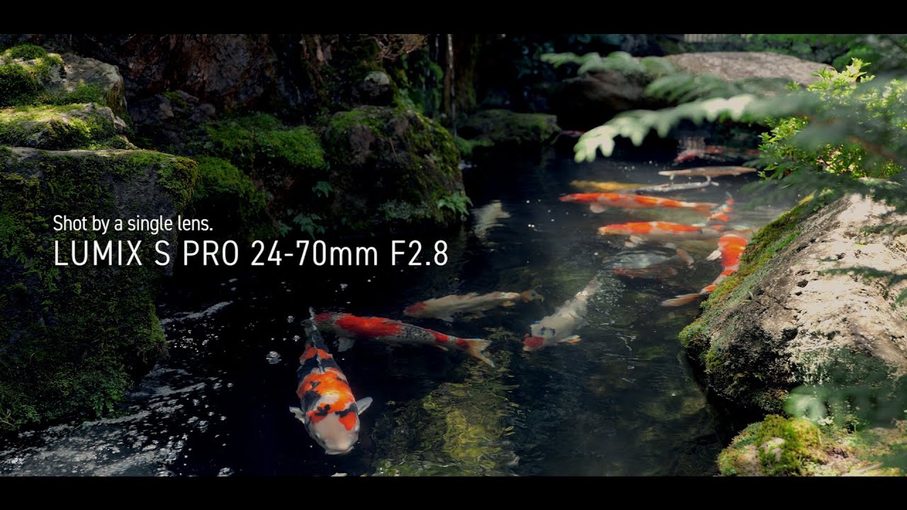 LUMIX S | LUMIX S PRO 24-70mm F2.8 (S-E2470) Lens Based on L-Mount System