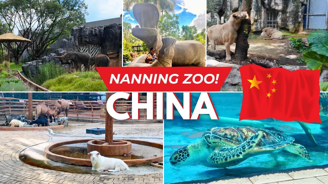 My First Time at a Chinese Zoo 🇨🇳 | Visiting Nanning Zoo | Part 5