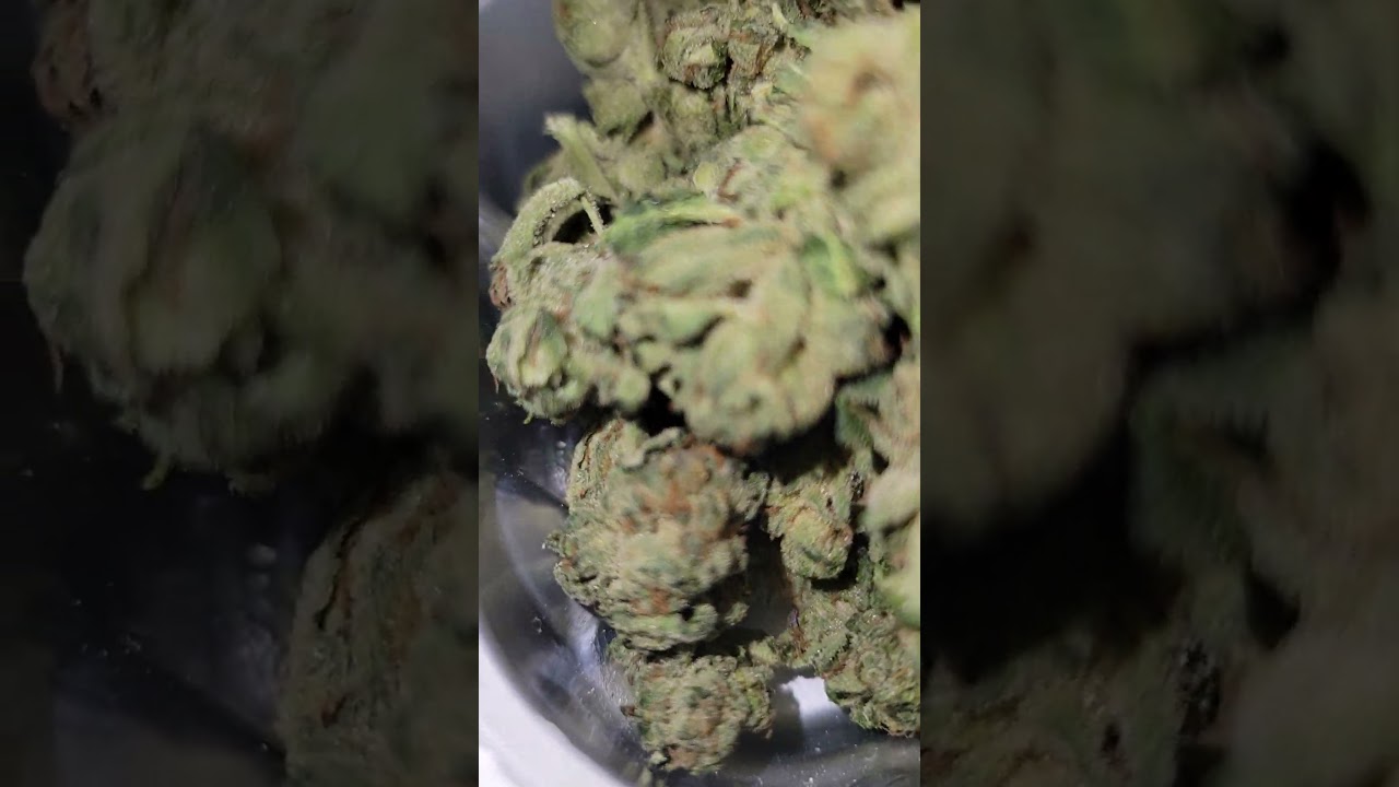 Tilray Purps Medical Cannabis 8 outta 10 whoop