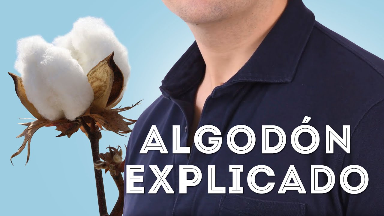 Historia detallada del algodón – Cómo identificar telas, camisas y suéteres de algodón de calidad