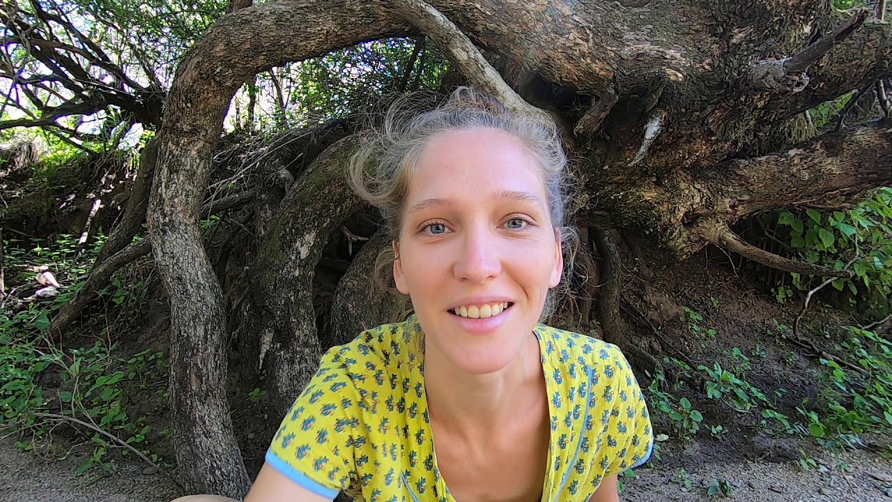 💙 Prana y Pranayama Video 1 💚 yoga integral 🧡 Instructorado de Yoga online gratis 💚