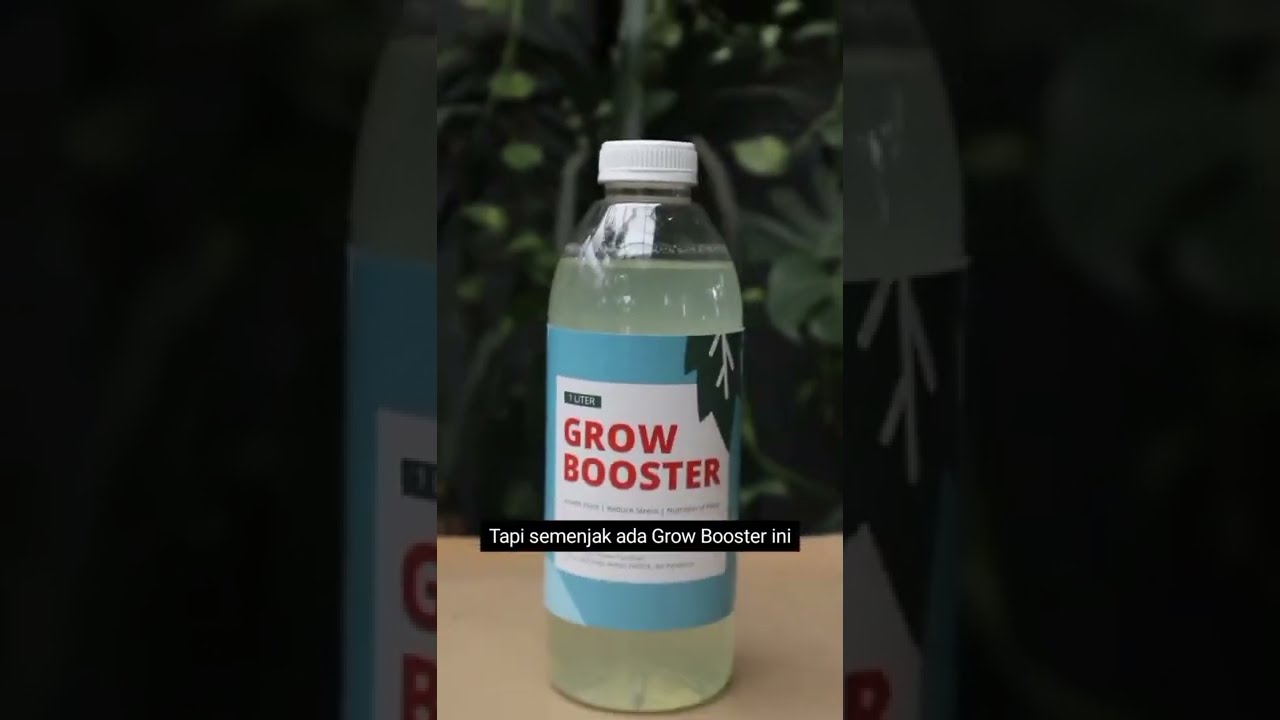 Cara Penggunaan Grow Booster