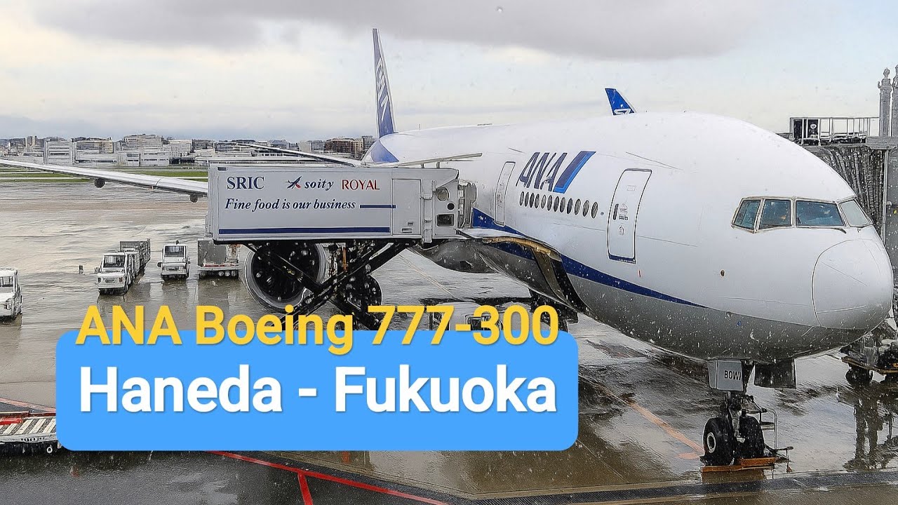 ANA Boeing 777-300 Economy Class | Tokyo Haneda - Fukuoka Flight Report 