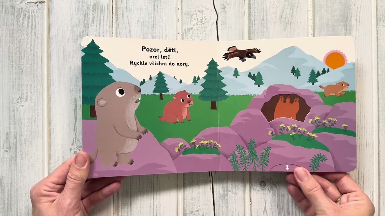 MiniPEDIE – Dobrou noc, malý svišti!