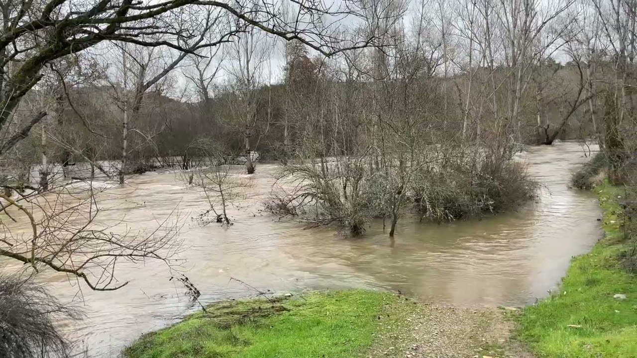 El río Jarama se desborda un año más.