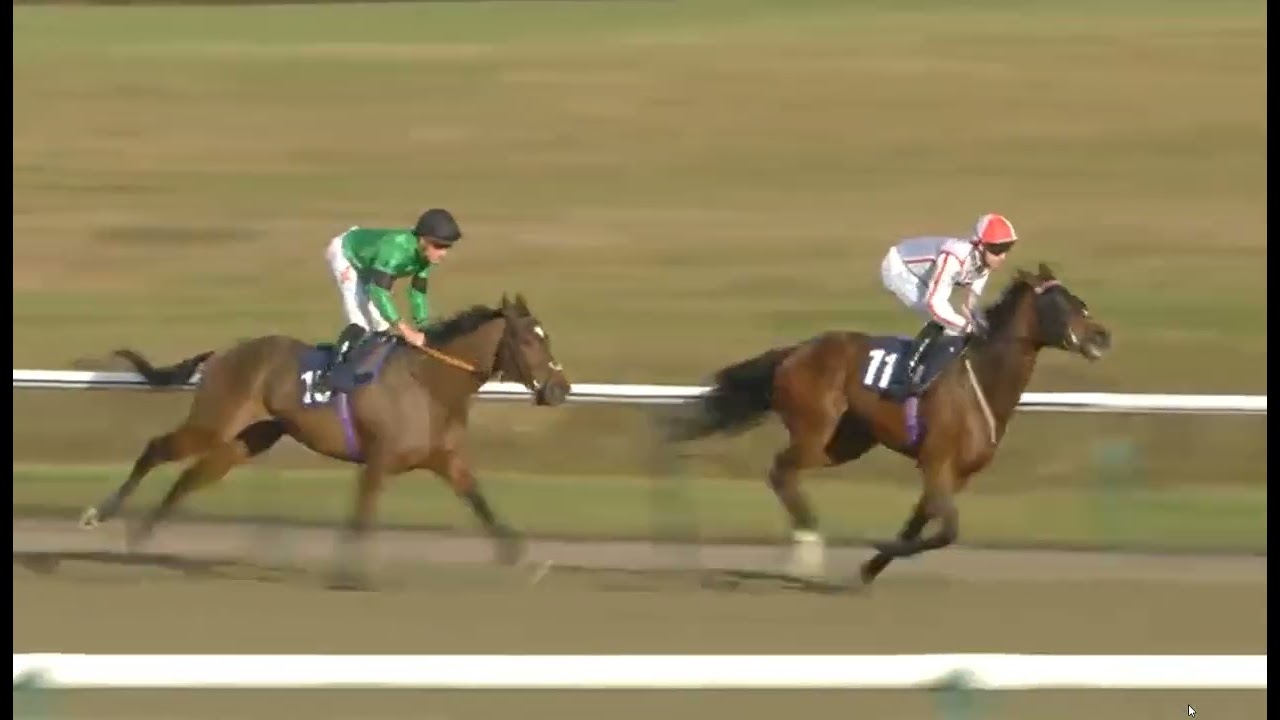 @1414 - RACE 5-LINGFEILD UK 24 JAN 2026