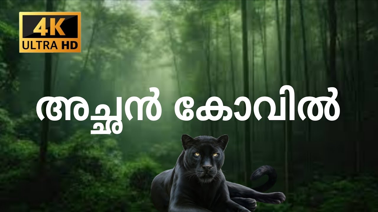 കേരളത്തിലെ ഏറ്റവും അപകടകരവും ഭംഗിയുള്ളതുമായ വനപാത! Achankovil forest road, March 5, 2026