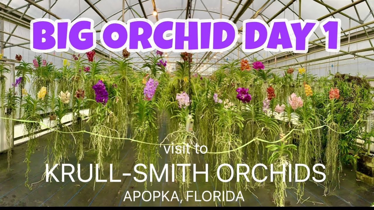 A VISIT TO ONE OF THE BEST ORCHID NURSERIES, KRULL-SMITH ORCHIDS.