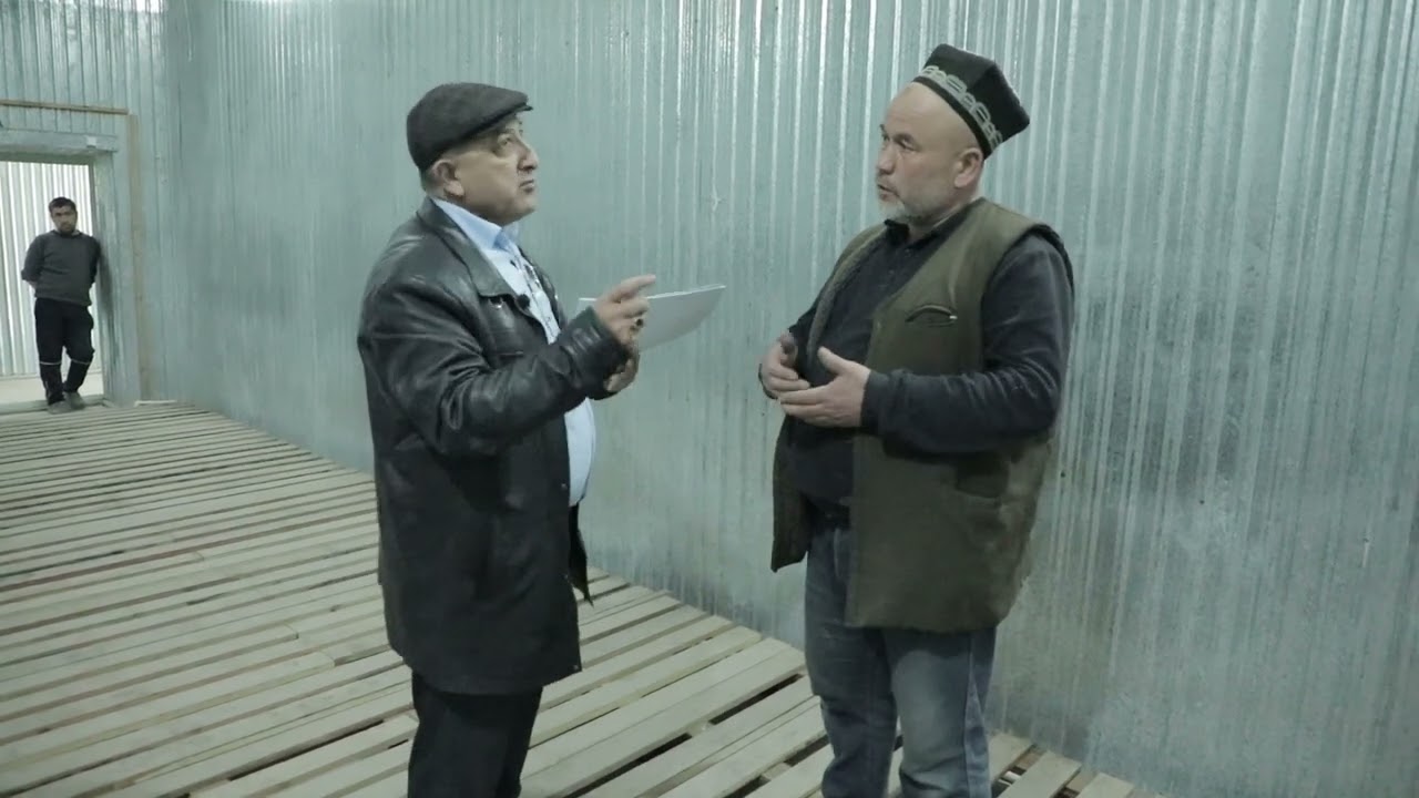 Andijon viloyatidagi xolodilnikchilar anomal sovuqdan qanday chiqdi 2-video