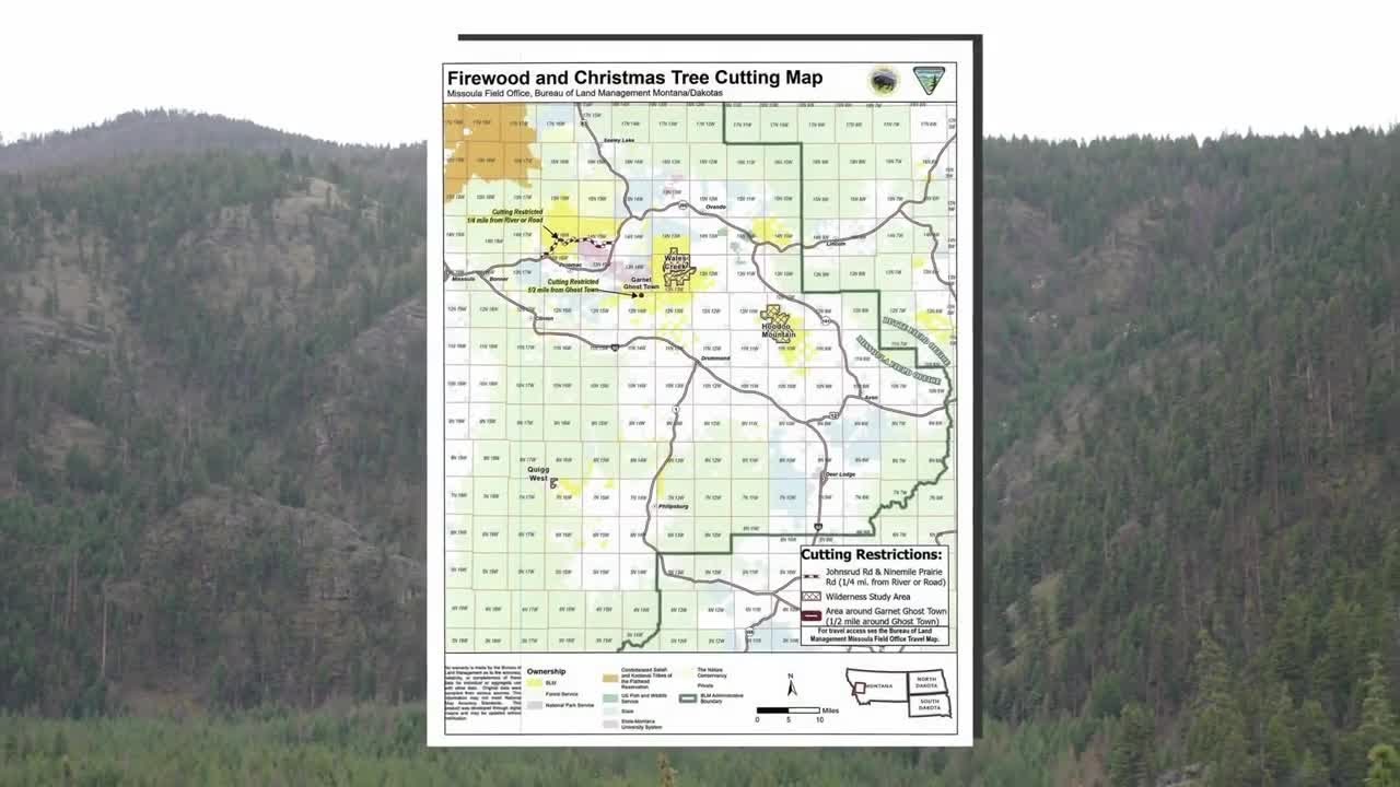 Bureau of Land Management offering $1 Christmas tree permits