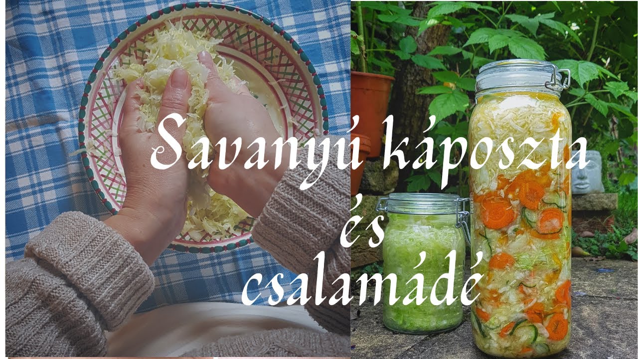TARTÓSÍTÓSZER MENTES SAVANYÚ KÁPOSZTA ÉS CSALAMÁDÉ