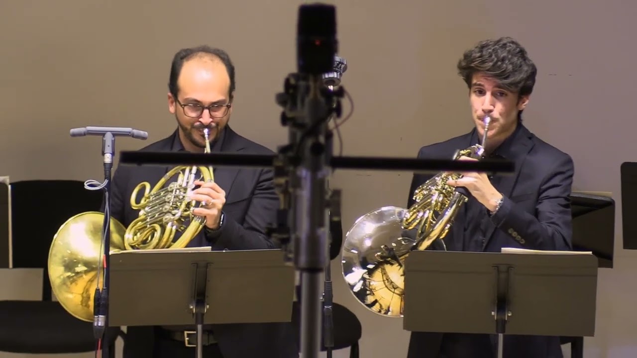 Joseph Haydn Sinfonia 31 Hob I:31 