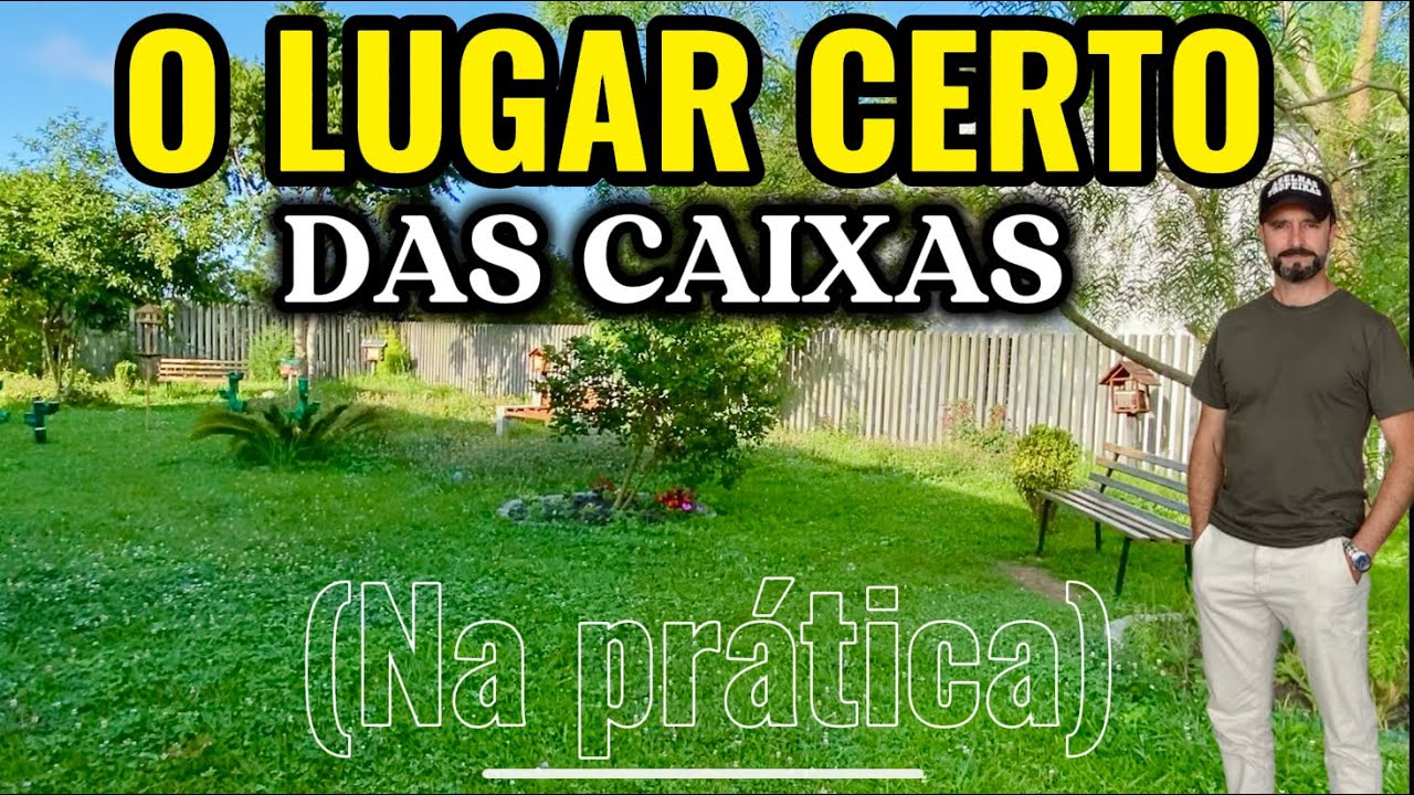 Onde Colocar Caixas de Abelhas Sem Ferrão no Quintal? 🐝🏡