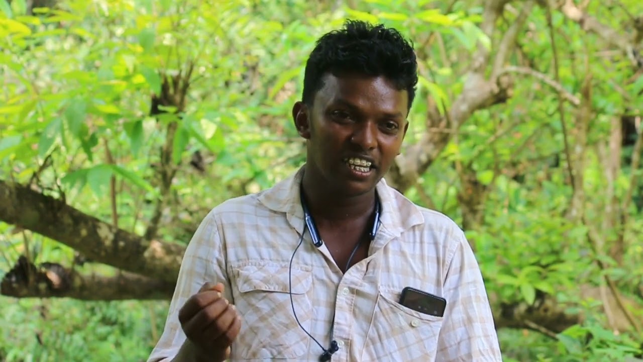 എൻറെ നാടും കാടും കാട്ടിലെ വിശേഷങ്ങൾ നാട്ടിലെ വിശേഷം