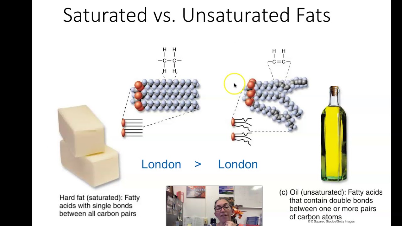 CHE 100 Fats Lecture