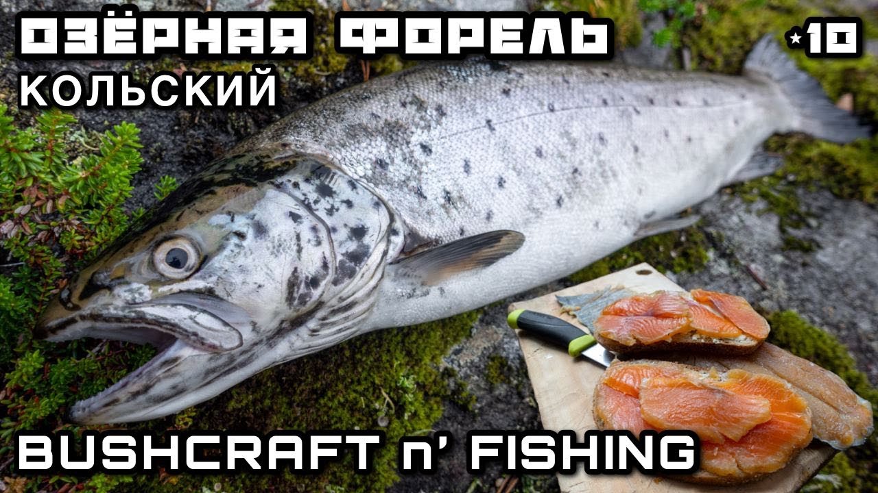Дикая Озерная ФОРЕЛЬ Рыбалка на Блесну | Печь для Хлеба БУШКРАФТ по-русски | Рыба Жареная на Костре