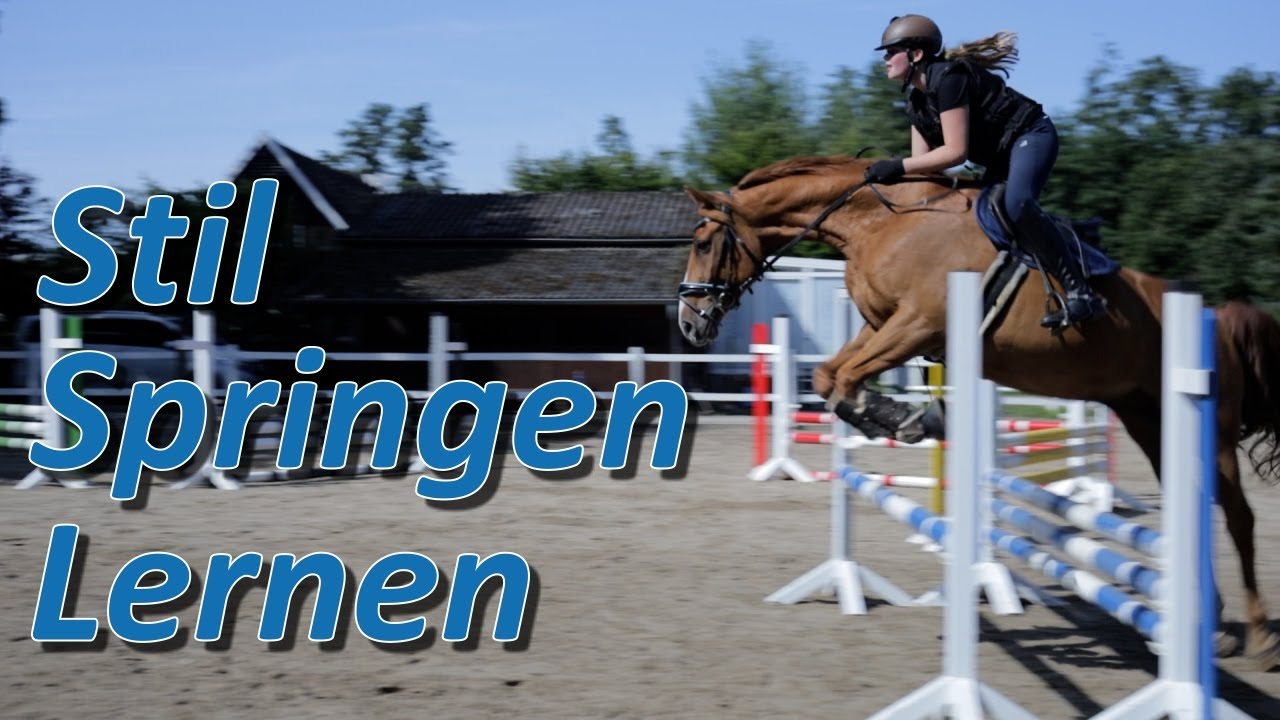 Stilspringen lernen - Turniervorbereitung für E Stilspringprüfung | Reitunterricht von Ariane Telgen
