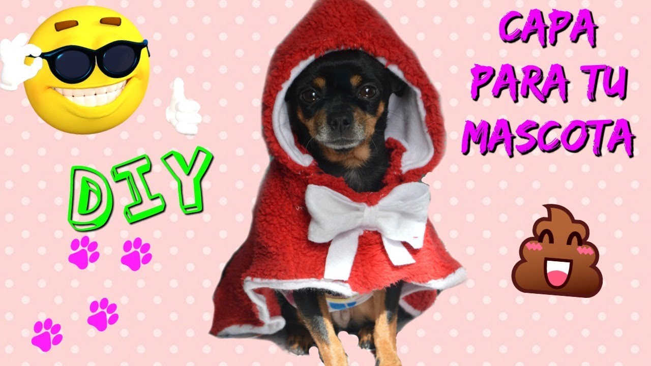 COMO HACER UNA CAPA PARA PERRO/CURIOSIDADES DE GINA