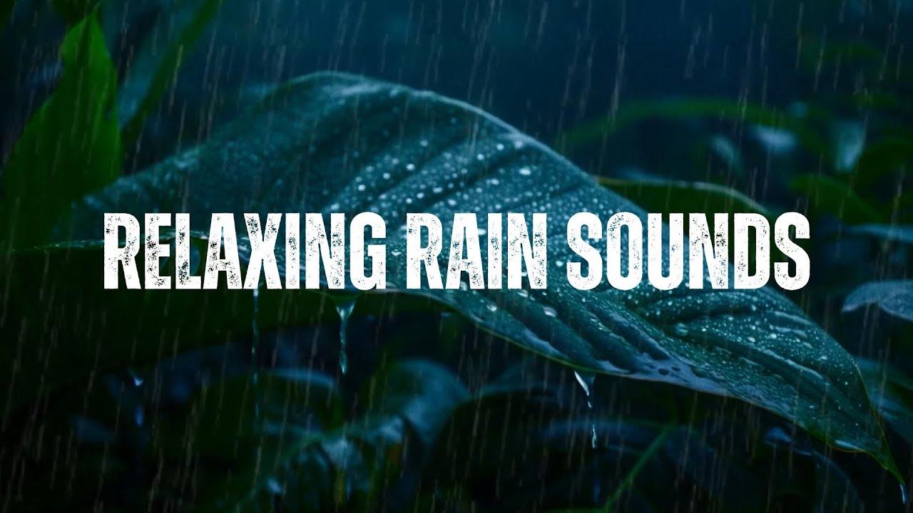 Relaxing Rain Sounds for Sleep | Calm & Peaceful Ambience for Restful Sleep