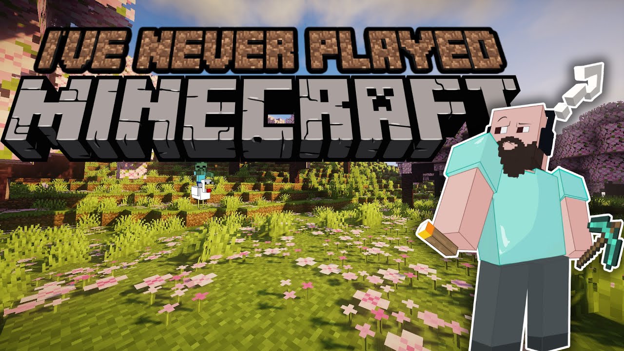 I'VE NEVER PLAYED MINECRAFT