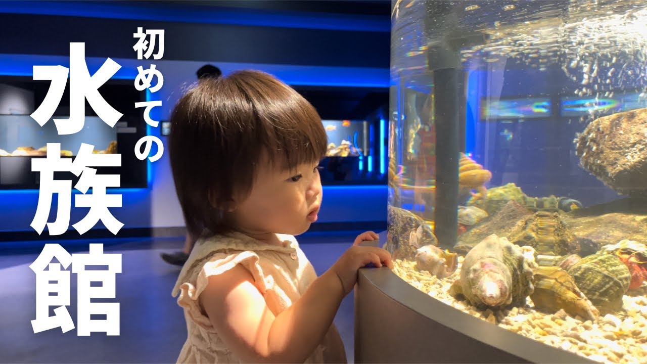 【1歳2ヶ月】娘が初めての水族館で夢中になったものは⁈【スマートアクアリウム静岡】