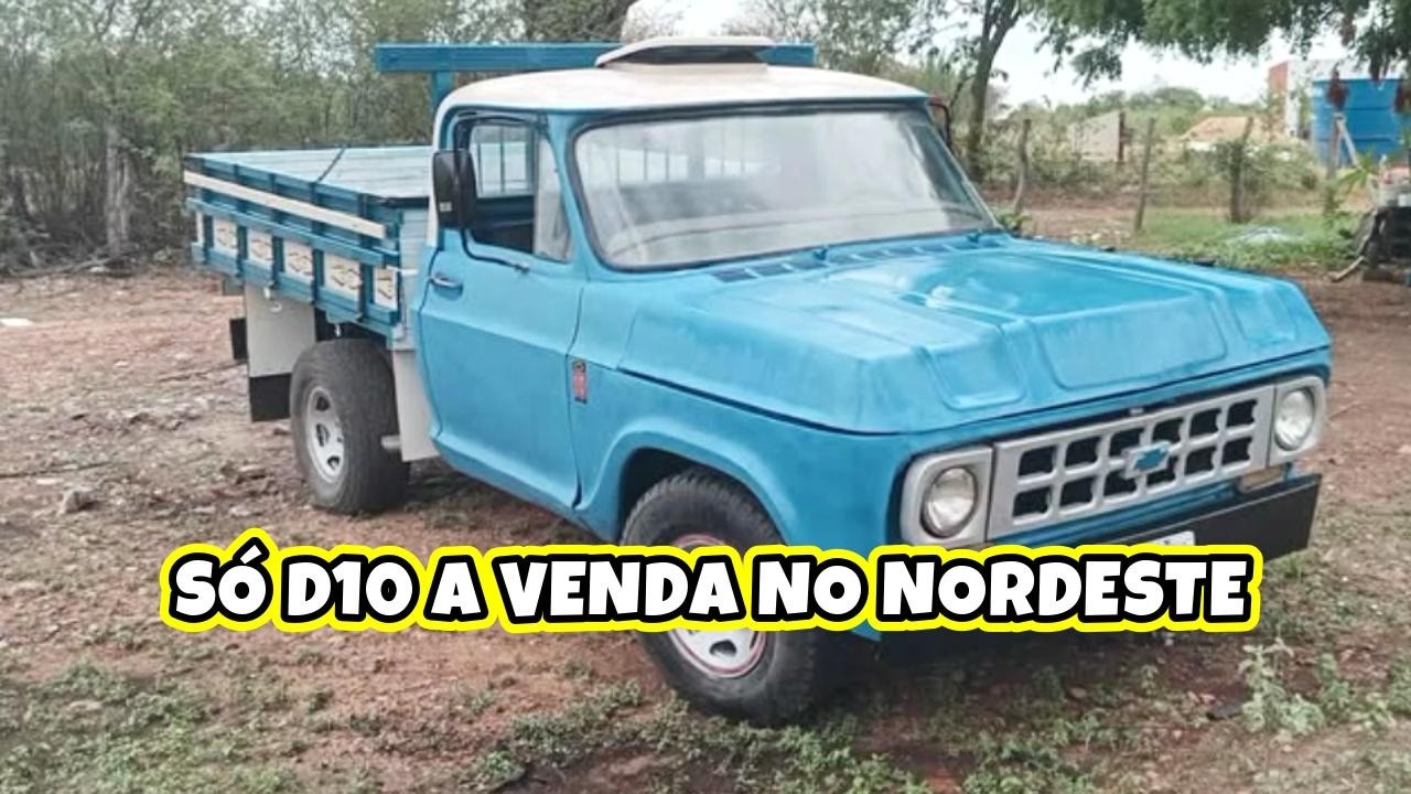 A VENDA CHEVROLET D10 DO NORDESTE FEVEREIRO 2026 OS DETALHES VEJA AQUI NO V&Iacute;DEO PRE&Ccedil;OS CONTATOS