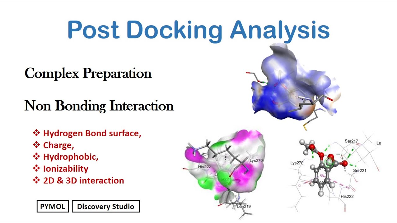 Post Docking Analysis in Molecular Docking | Hydrogen Bond, Charge, Hydrophobic & 2D–3D Interactions
