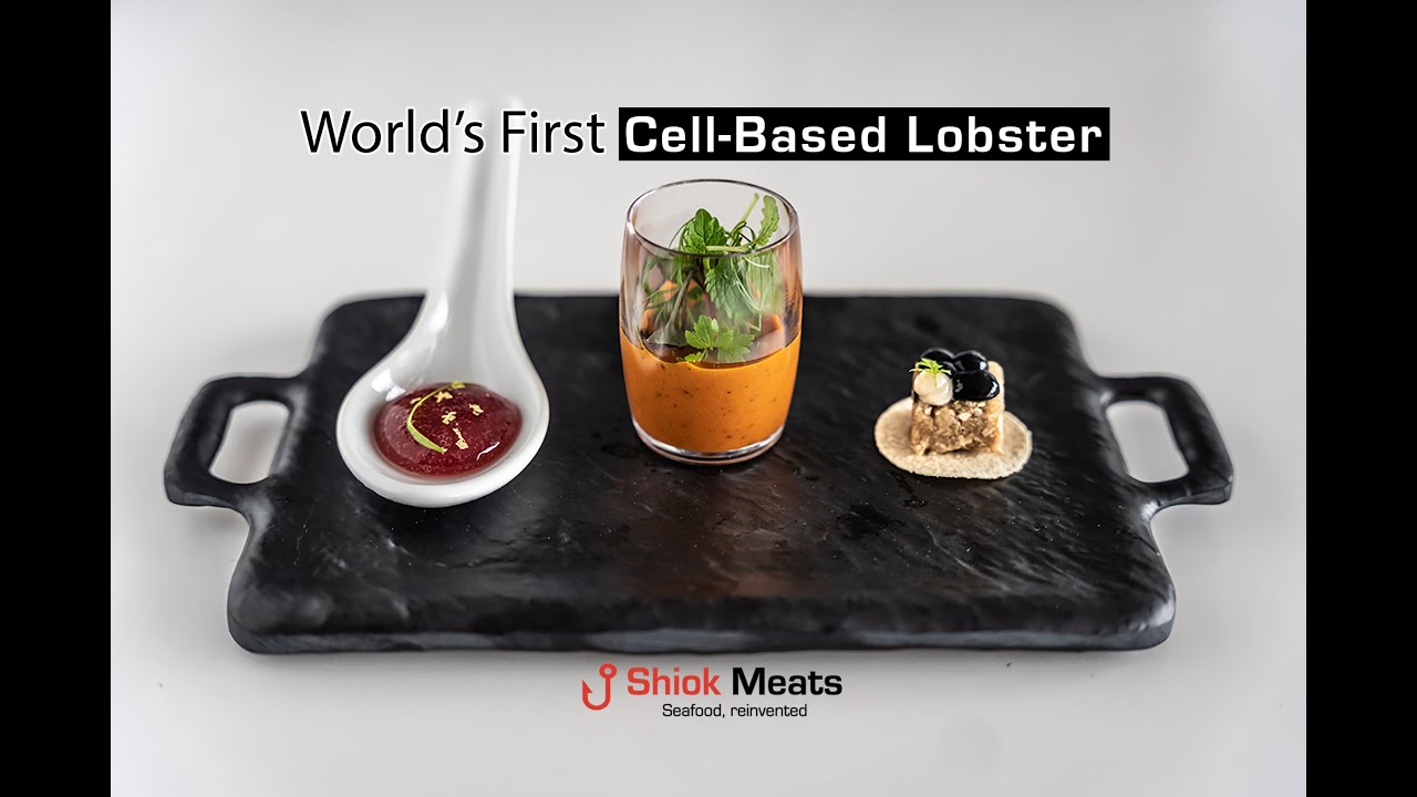 The World's First Cell-based Lobster | Shiok Meats