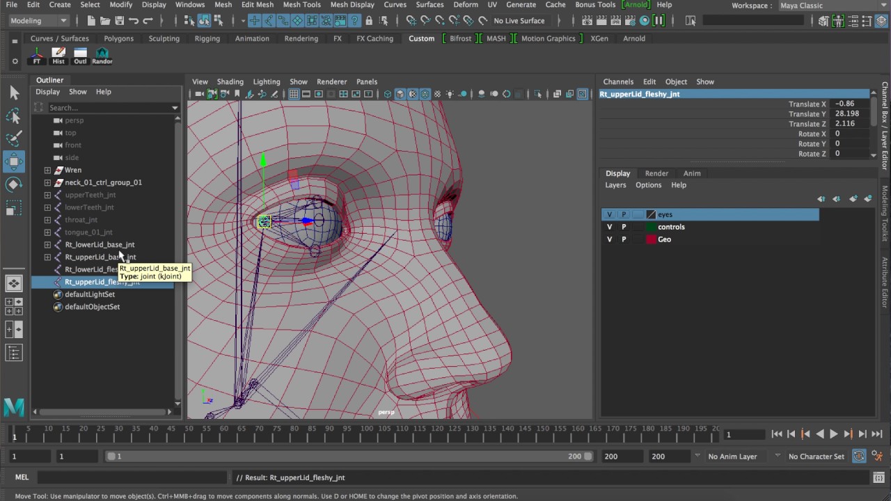 Fleshy Eyes Setup