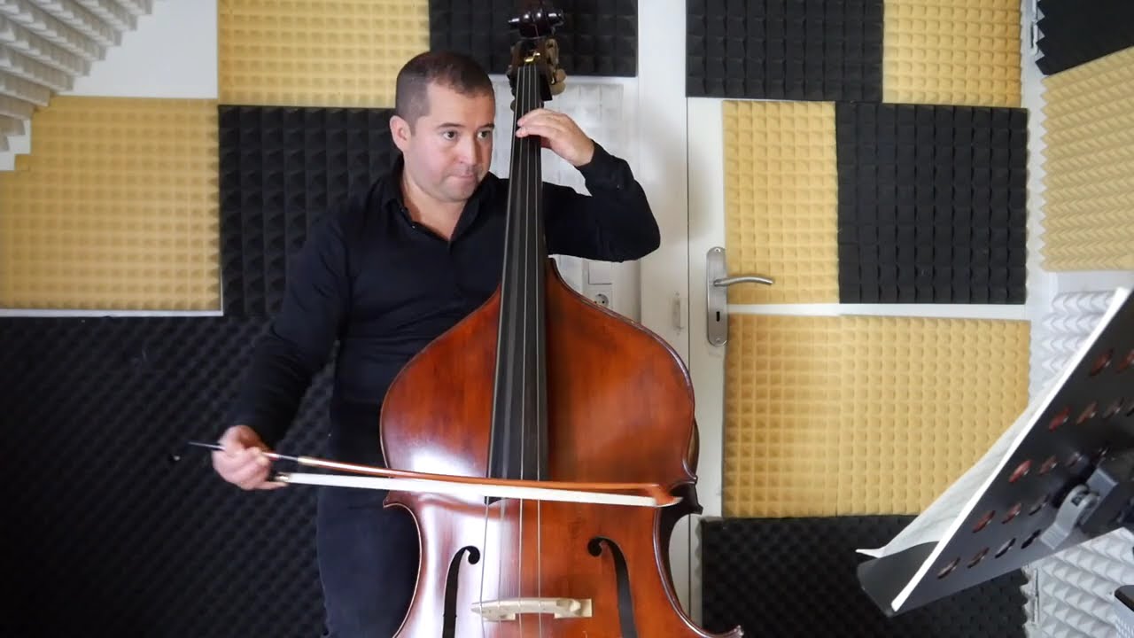 Double bass excerpt - W.A. Mozart, Symphony nr. 41, 4th movement