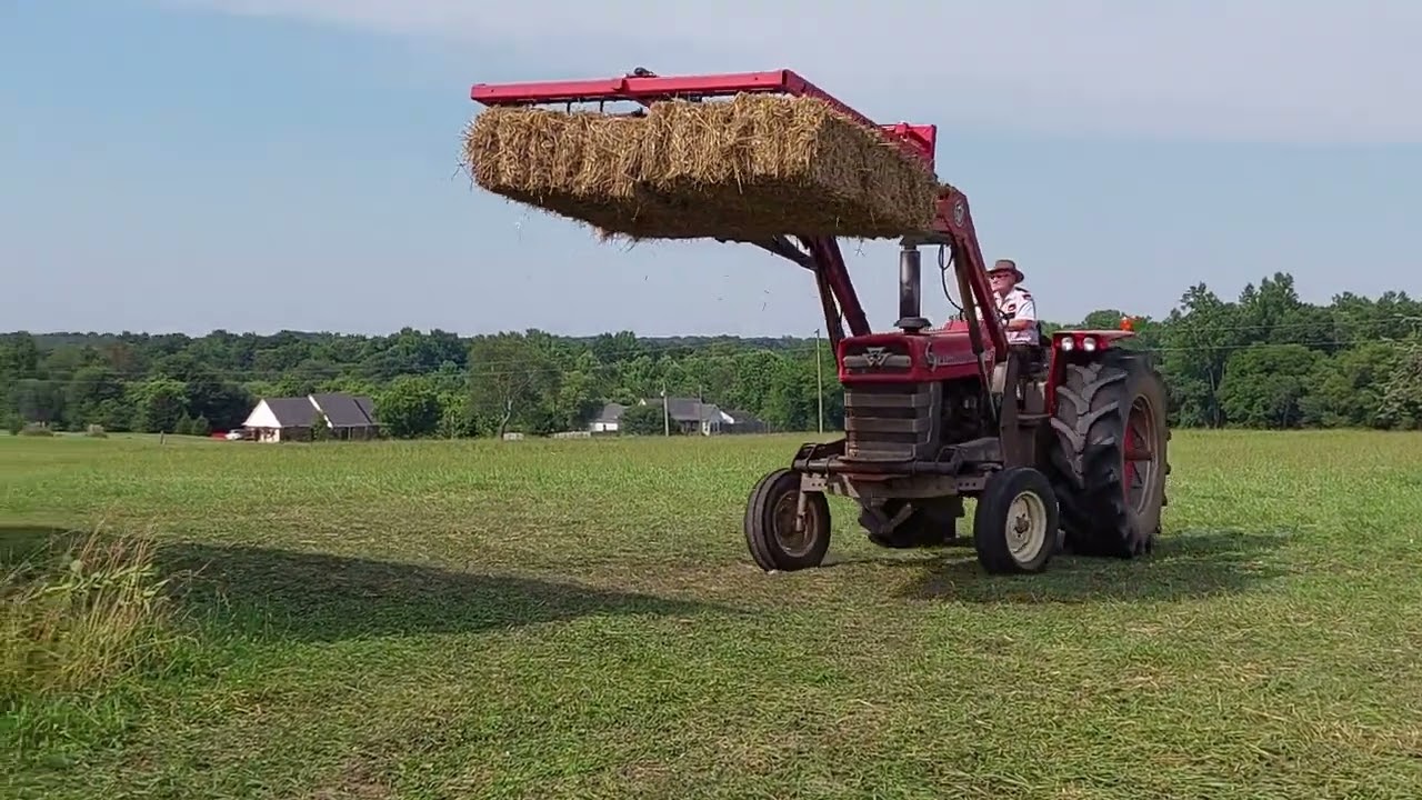 1100 Massey Ferguson  with a Maxilator Accumagrapple@PepperPatchAL