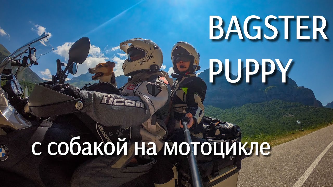 Обзор сумки Bagster PUPPY tankbag. Перевозка животных на мотоцикле.