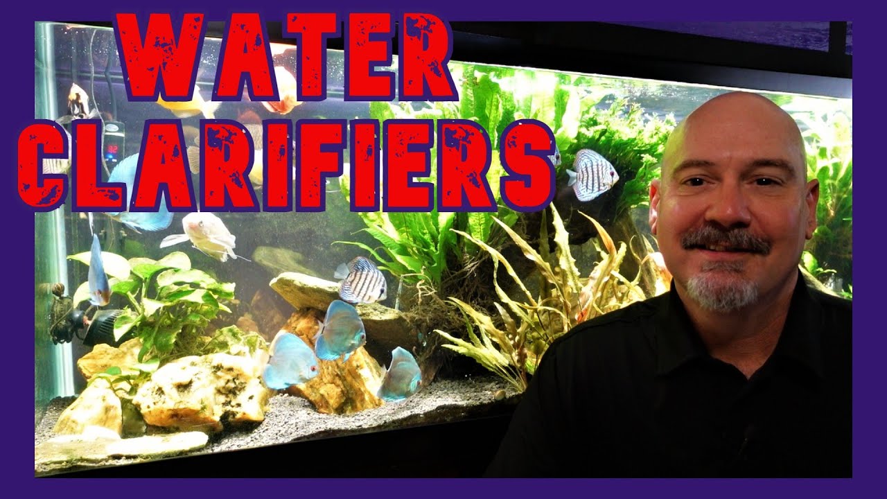 Let's Talk About Water Clarifiers