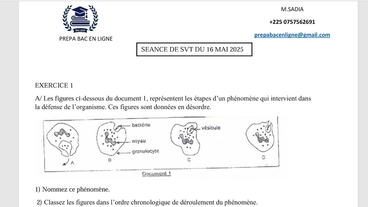 SUJET TYPE BAC 2025 SVT IMMUNOLOGIE