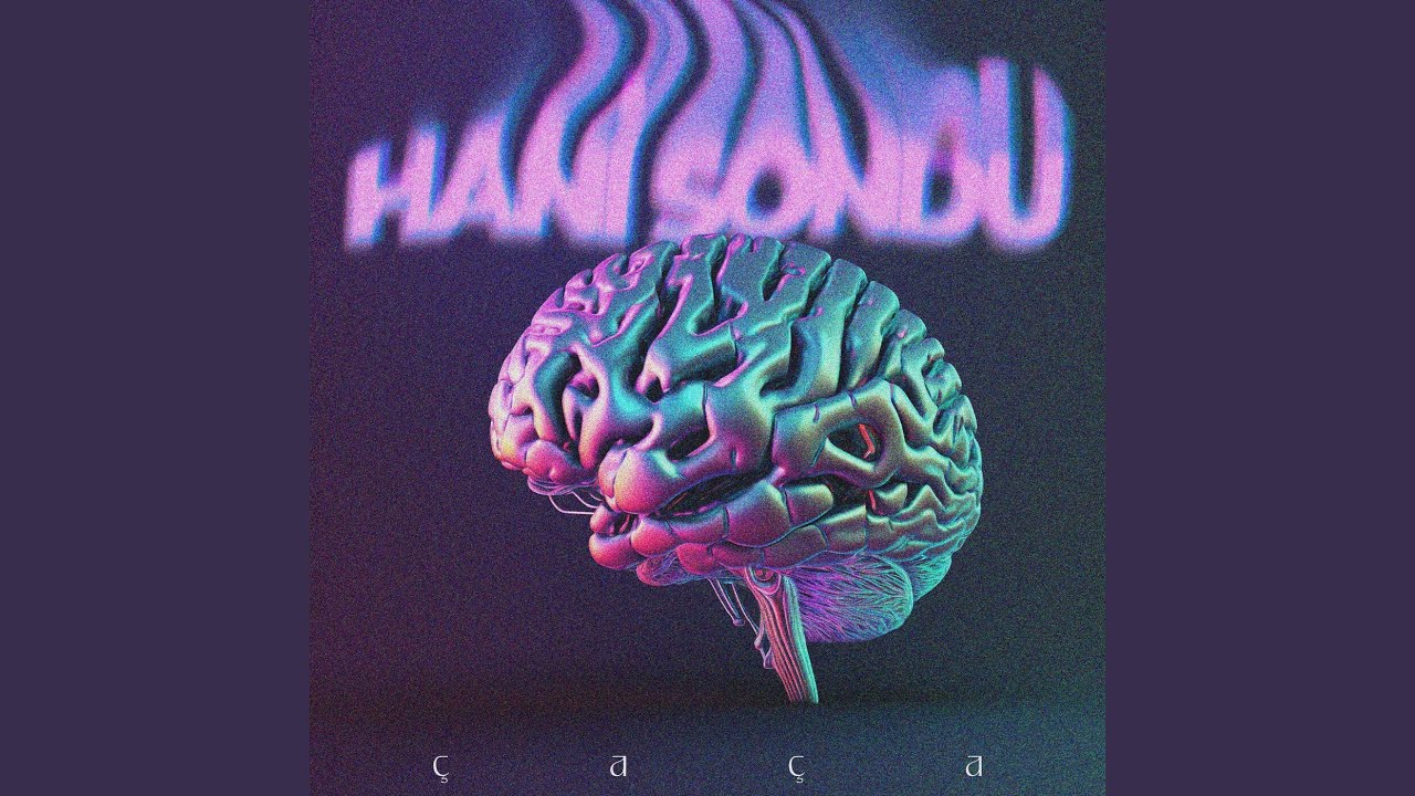HANİ SONDU