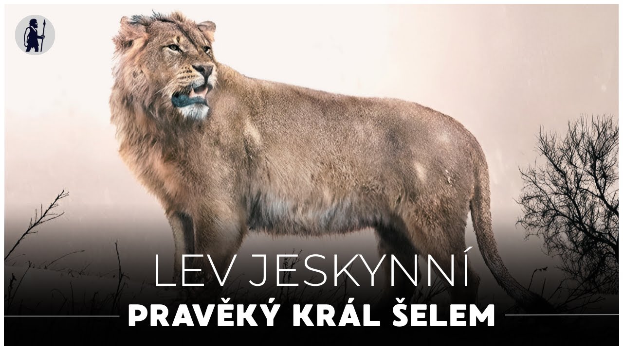 Lev Jeskynní: Pravěký král šelem | Dokument - Pravěk | Zvířata