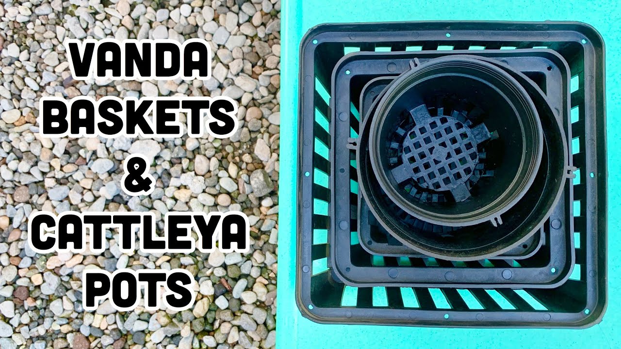 WHERE I BOUGHT/ WHERE TO BUY VANDA BASKETS AND CATTLEYA POTS IN DIFFERENT SIZES - PHILIPPINES