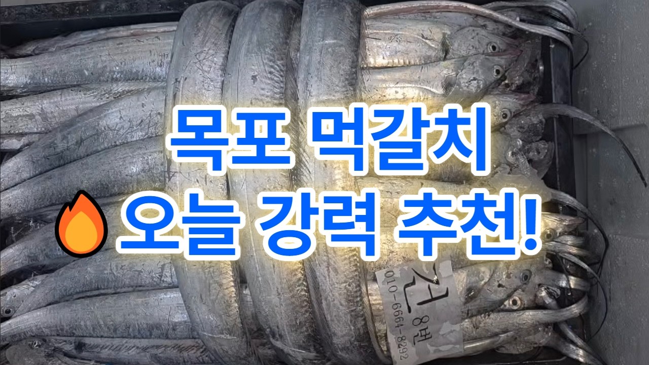 4월 3일 금요일 먹갈치 가져왔습니다~!