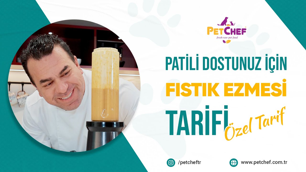 🐾 Rafet Şef’ten Patili Dostlara Fıstık Ezmesi Tarifi! 🍃