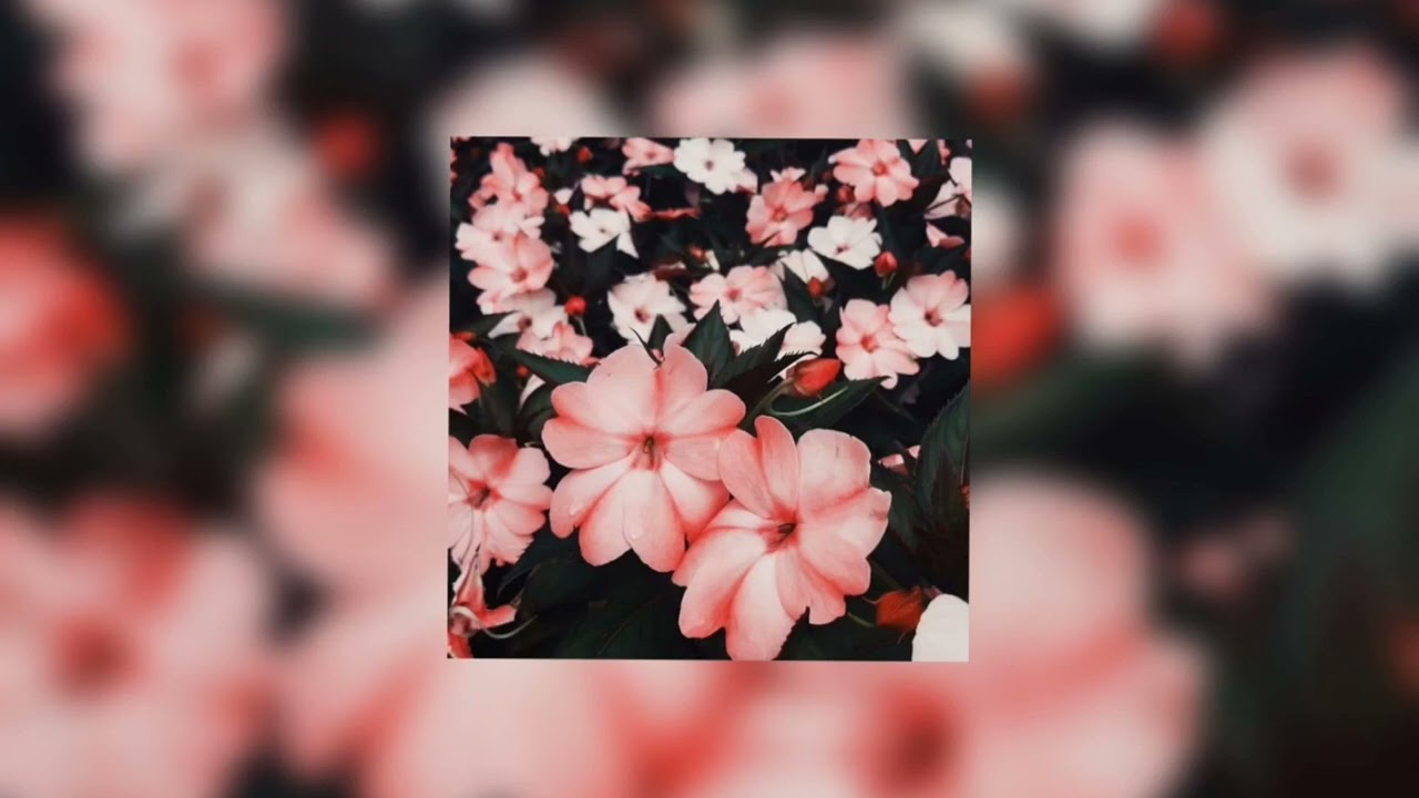 Bestseller - Max Barskih & Zivert (sped up)