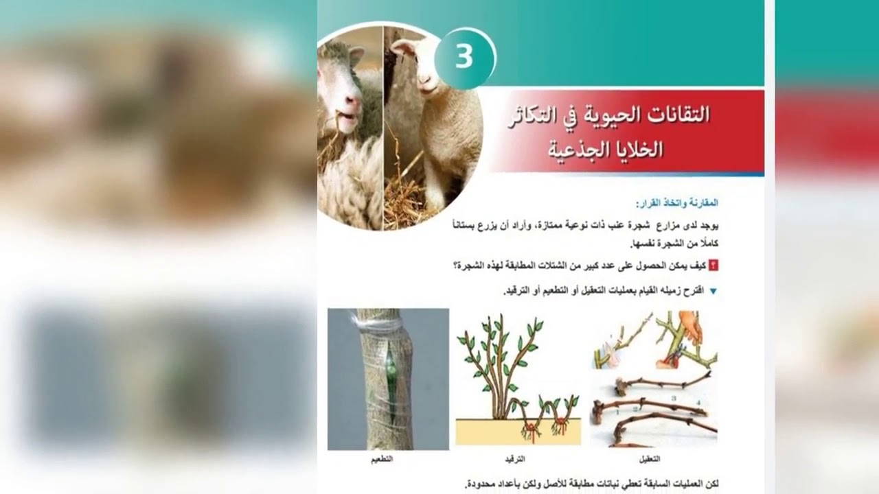 بكالوريا علوم التقانات الحيوية في التكاثر الخلايا الجذعية . . أ. نضال أقجه🧠💯